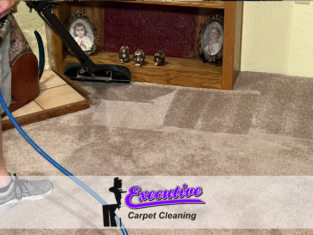 Carpet Cleaning Service