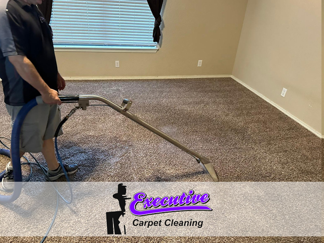 Carpet Cleaning Service