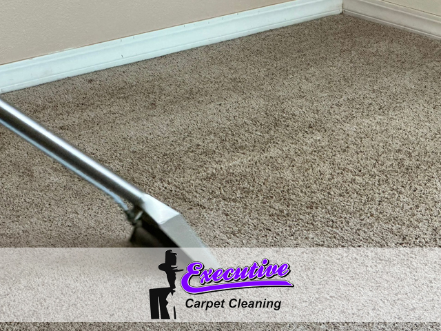 Carpet Cleaning Services