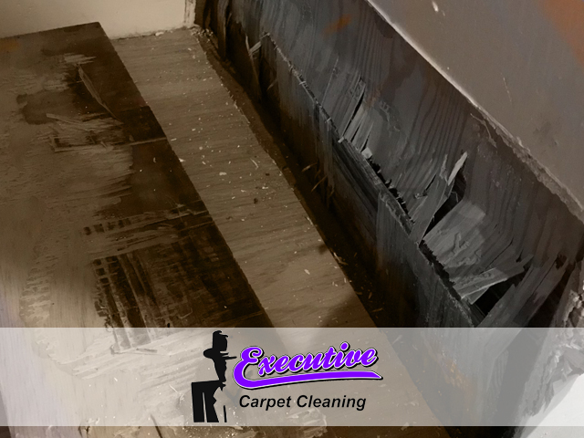 Expert Water Damage Restoration Service