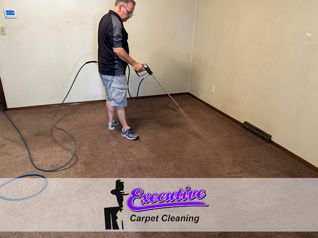 Professional Carpet Cleaning Service