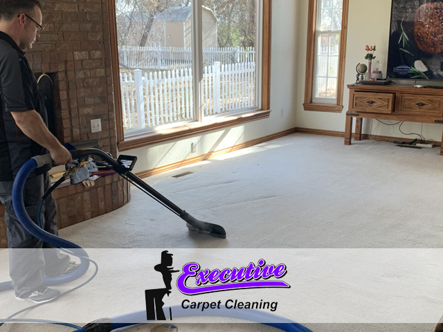 Carpet Cleaning