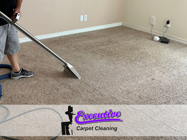 Premier Carpet Cleaning